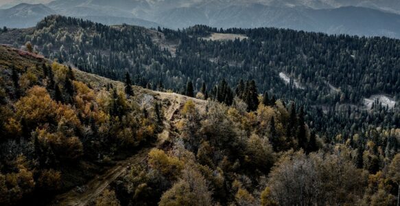 17 e 18 Settembre 2022 – Live 2 – Passaggio a Nord-Est